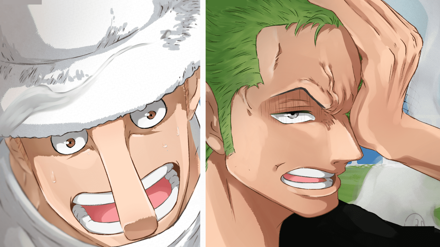 Kaku vs Zoro